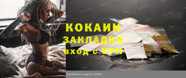 мдпв Каменка