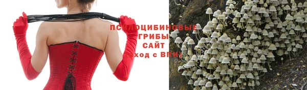 дурь Каменск-Шахтинский
