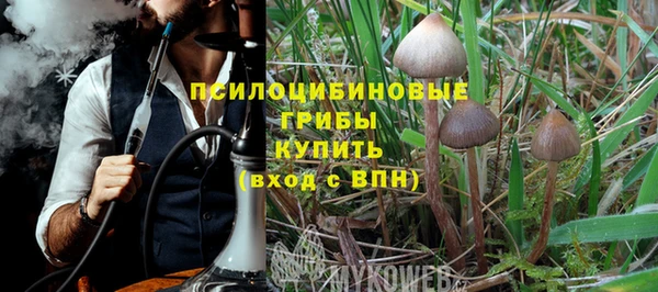 а пвп мука Каменногорск
