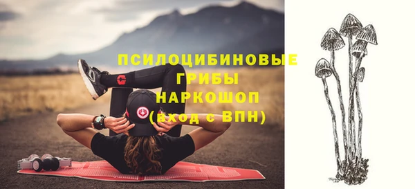 а пвп мука Каменногорск