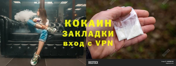 мдпв Каменка