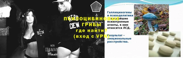 мдпв Каменка