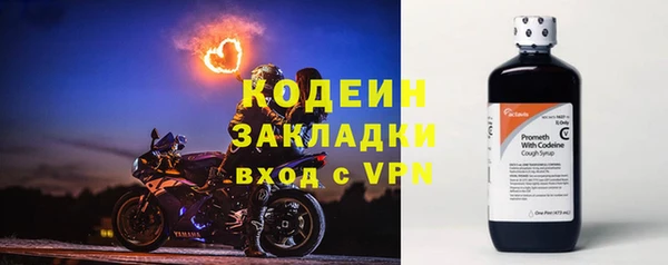 мдпв Каменка