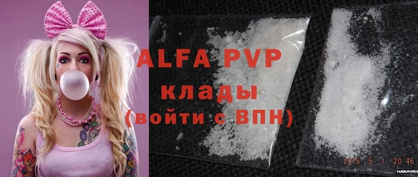 мдпв Каменка
