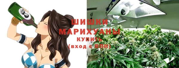 мдпв Каменка