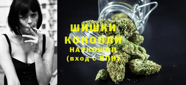 мдпв Каменка