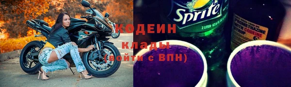мдпв Каменка